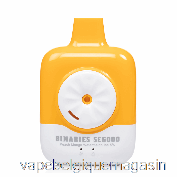 Vape Jetable Horizon Binaires Se6000 Jetable Pêche Mangue Pastèque Glace